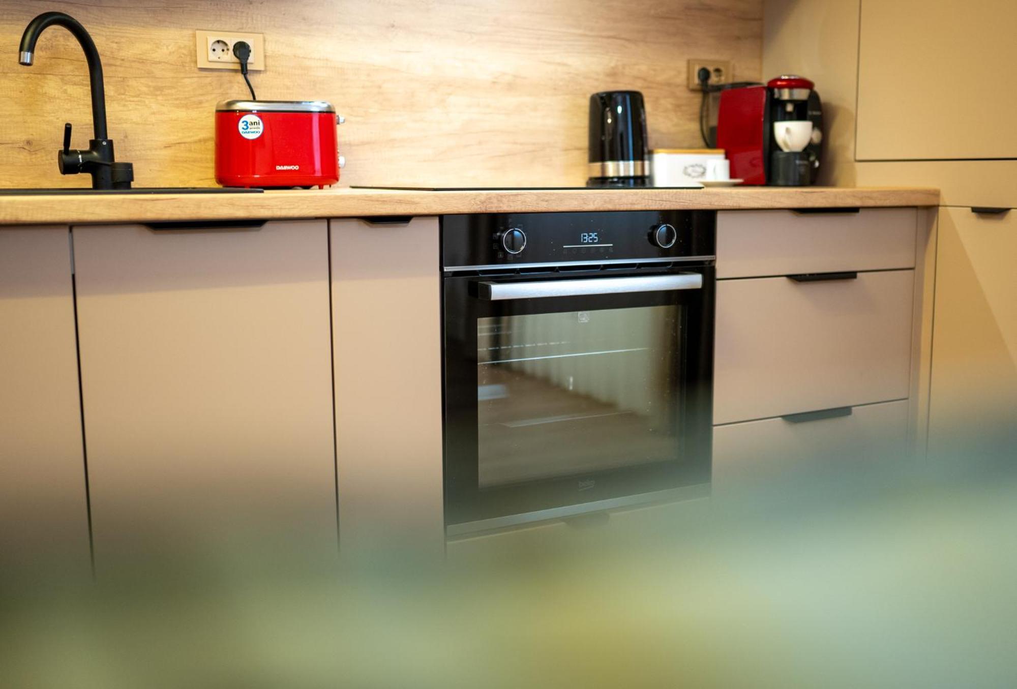 Apartament 1 Ultra Central クルージュ＝ナポカ エクステリア 写真